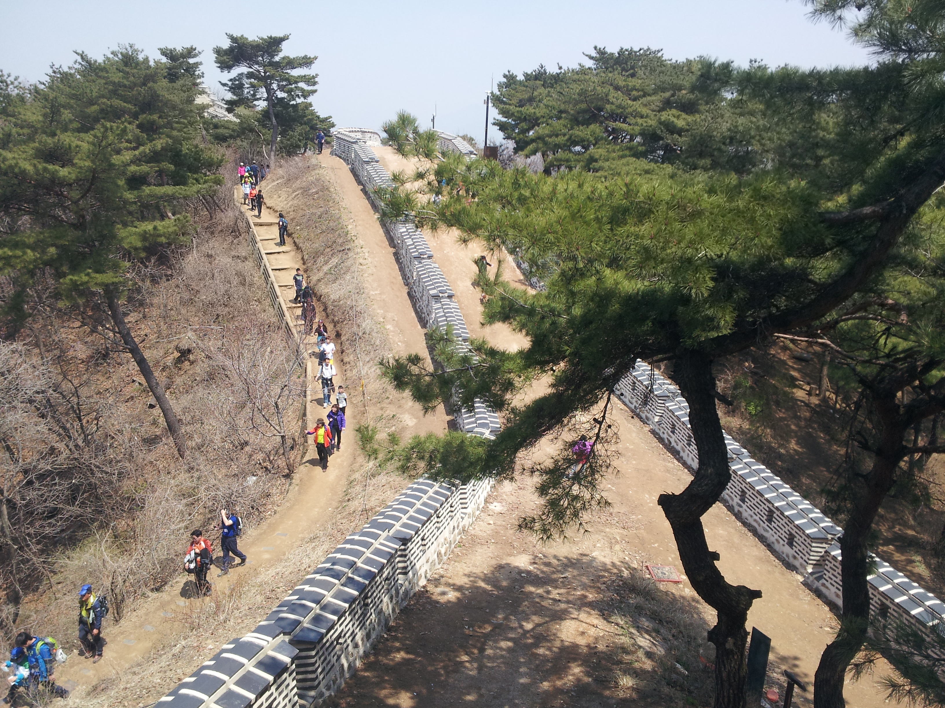 20130427_121242.jpg